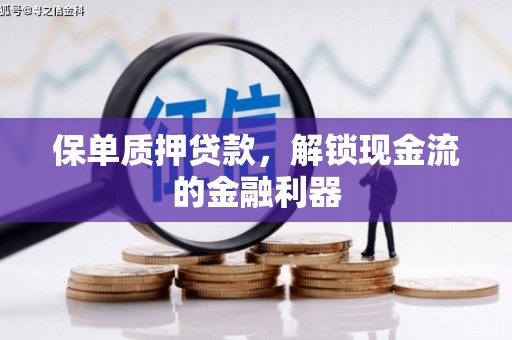 澎湖保单质押贷款，解锁现金流的金融利器
