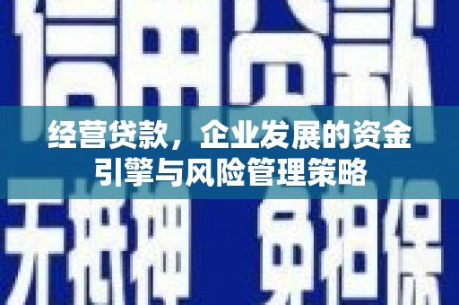 澎湖经营贷款，企业发展的资金引擎与风险管理策略