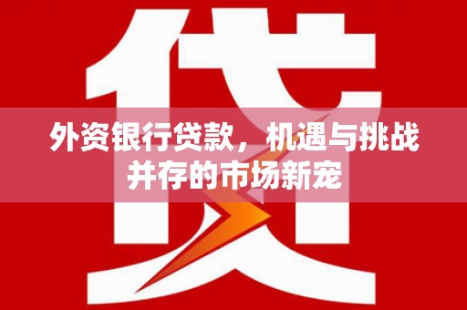 澎湖外资银行贷款，机遇与挑战并存的市场新宠