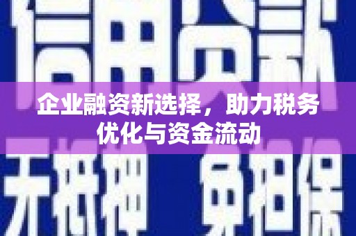 澎湖企业融资新选择，助力税务优化与资金流动
