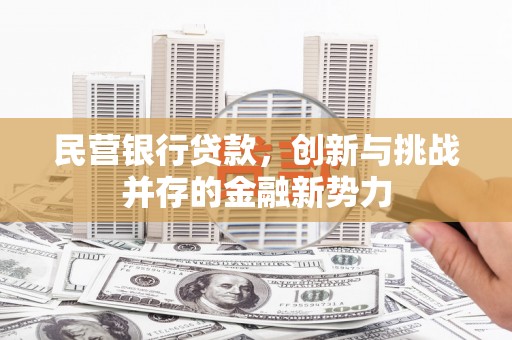 澎湖民营银行贷款，创新与挑战并存的金融新势力
