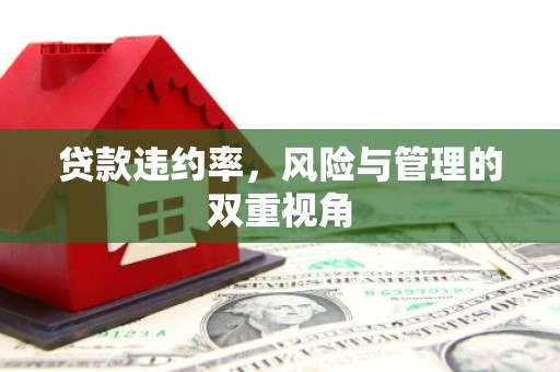 澎湖贷款违约率，风险与管理的双重视角