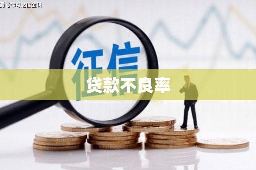 澎湖贷款不良率
