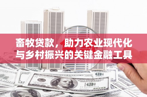 澎湖畜牧贷款，助力农业现代化与乡村振兴的关键金融工具