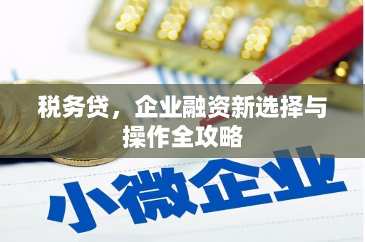 澎湖税务贷，企业融资新选择与操作全攻略