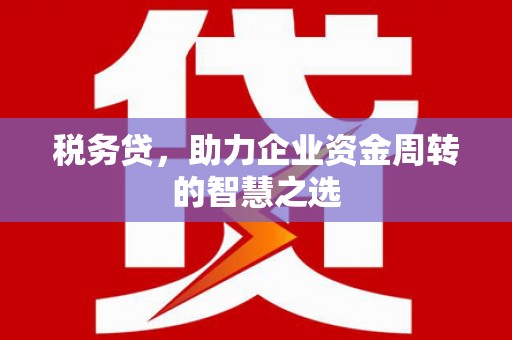 澎湖税务贷，助力企业资金周转的智慧之选