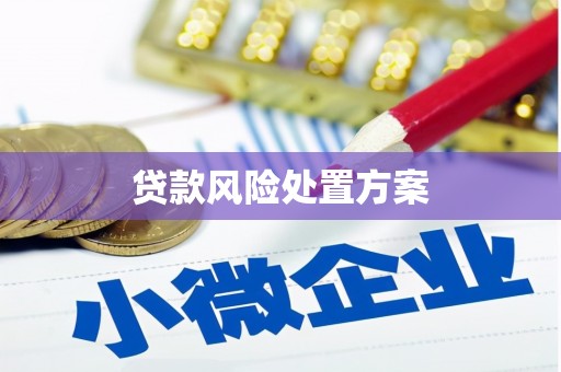 澎湖贷款风险处置方案