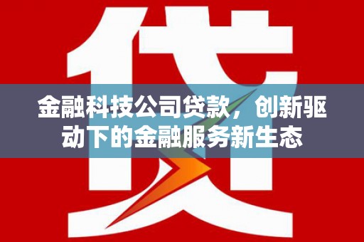 澎湖金融科技公司贷款，创新驱动下的金融服务新生态