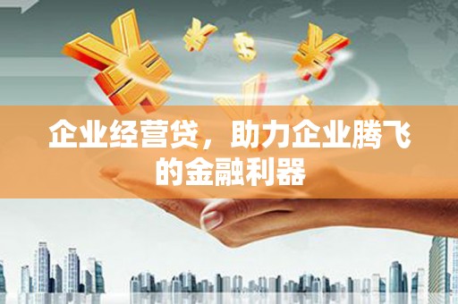 澎湖企业经营贷，助力企业腾飞的金融利器