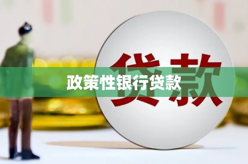 澎湖政策性银行贷款