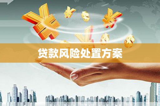 澎湖贷款风险处置方案