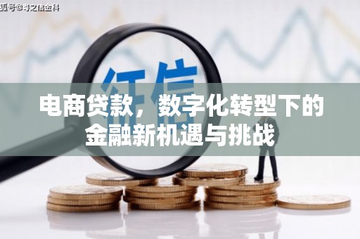 澎湖电商贷款，数字化转型下的金融新机遇与挑战