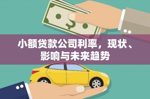 澎湖小额贷款公司利率，现状、影响与未来趋势