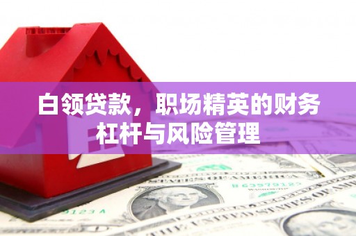 澎湖白领贷款，职场精英的财务杠杆与风险管理