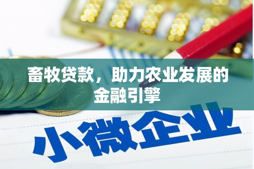 澎湖畜牧贷款，助力农业发展的金融引擎
