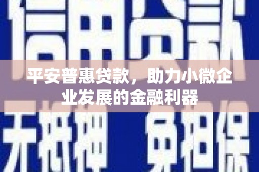 澎湖平安普惠贷款，助力小微企业发展的金融利器