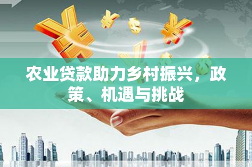 澎湖农业贷款助力乡村振兴，政策、机遇与挑战