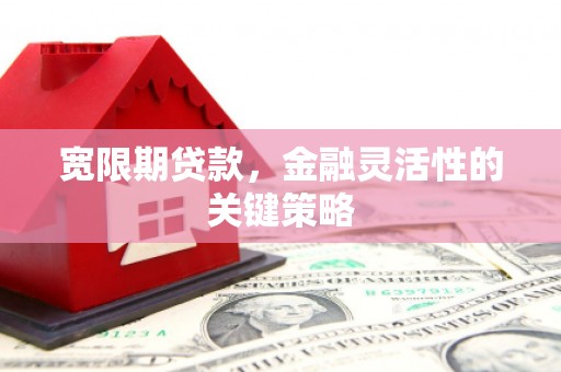 澎湖宽限期贷款，金融灵活性的关键策略