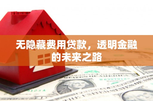 澎湖无隐藏费用贷款，透明金融的未来之路