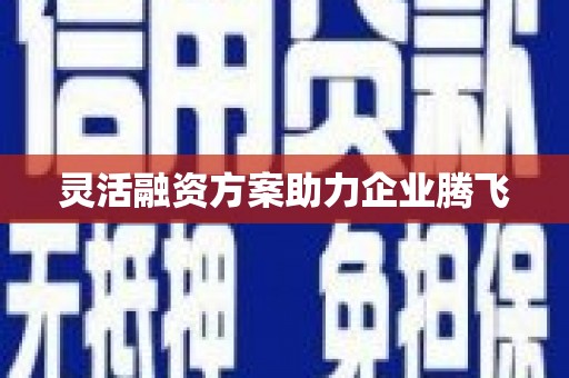 澎湖灵活融资方案助力企业腾飞