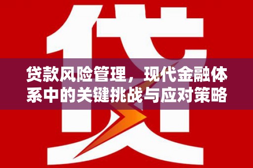 澎湖贷款风险管理，现代金融体系中的关键挑战与应对策略