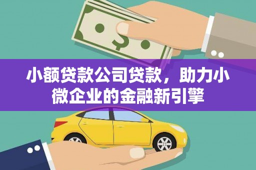 澎湖小额贷款公司贷款，助力小微企业的金融新引擎