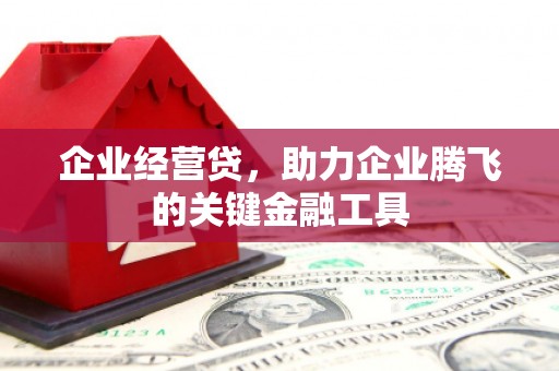 澎湖企业经营贷，助力企业腾飞的关键金融工具