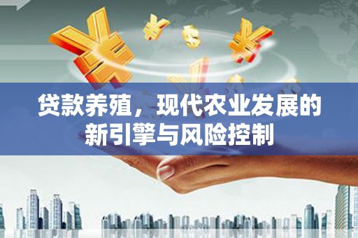 澎湖贷款养殖，现代农业发展的新引擎与风险控制