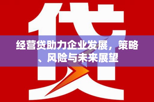 澎湖经营贷助力企业发展，策略、风险与未来展望