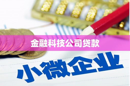 澎湖金融科技公司贷款
