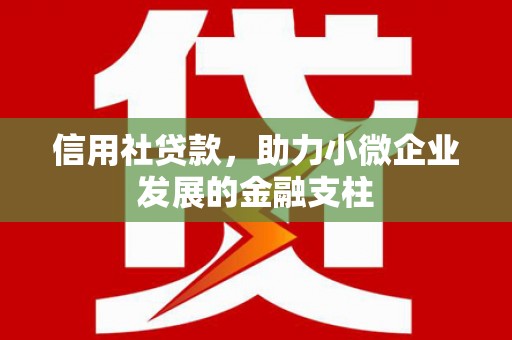 澎湖信用社贷款，助力小微企业发展的金融支柱