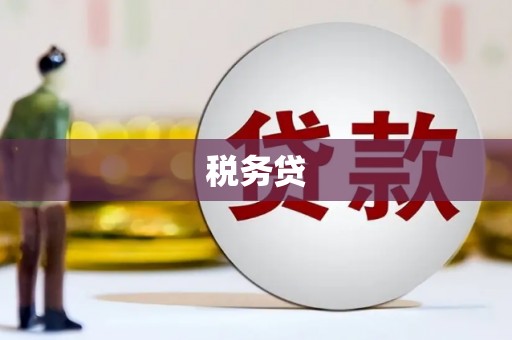 澎湖税务贷