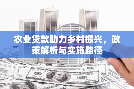 澎湖农业贷款助力乡村振兴，政策解析与实施路径