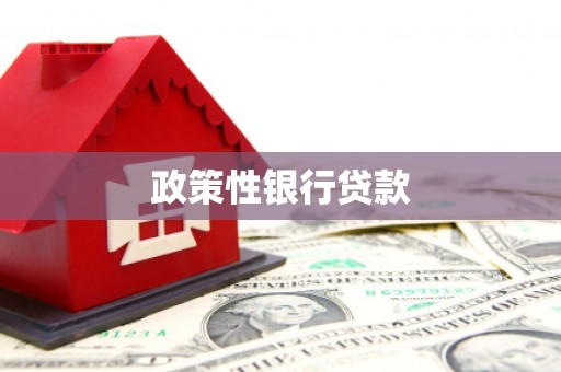 澎湖政策性银行贷款