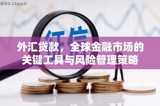 澎湖外汇贷款，全球金融市场的关键工具与风险管理策略