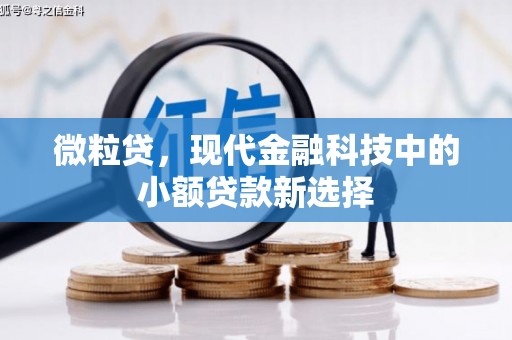 澎湖微粒贷，现代金融科技中的小额贷款新选择