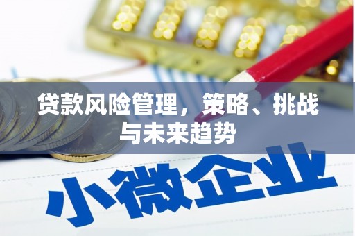 澎湖贷款风险管理，策略、挑战与未来趋势