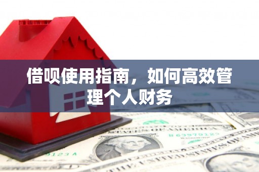 澎湖借呗使用指南，如何高效管理个人财务
