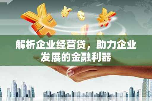 澎湖解析企业经营贷，助力企业发展的金融利器
