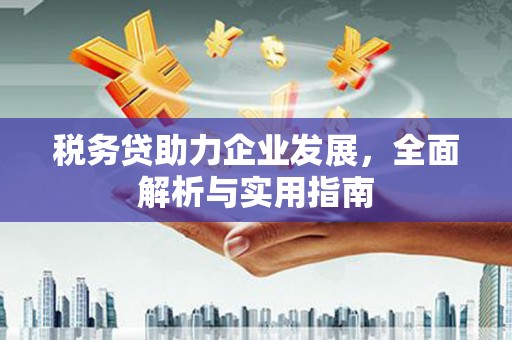 澎湖税务贷助力企业发展，全面解析与实用指南