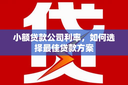 澎湖小额贷款公司利率，如何选择最佳贷款方案