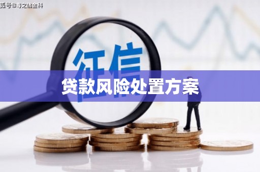 澎湖贷款风险处置方案