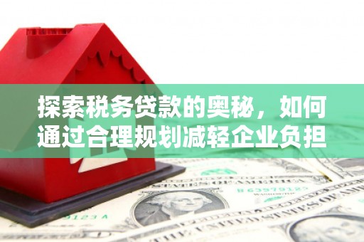 澎湖探索税务贷款的奥秘，如何通过合理规划减轻企业负担