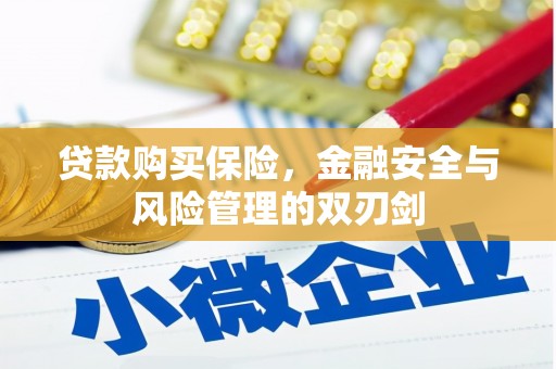 澎湖贷款购买保险，金融安全与风险管理的双刃剑