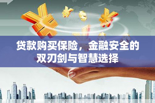 澎湖贷款购买保险，金融安全的双刃剑与智慧选择
