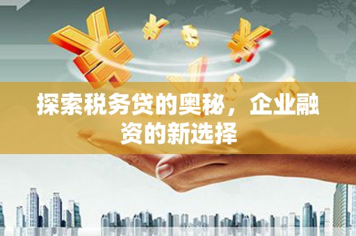 澎湖探索税务贷的奥秘，企业融资的新选择