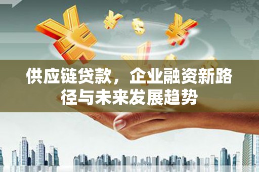 澎湖供应链贷款，企业融资新路径与未来发展趋势