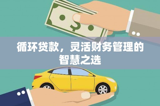 澎湖循环贷款，灵活财务管理的智慧之选
