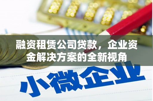 澎湖融资租赁公司贷款，企业资金解决方案的全新视角
