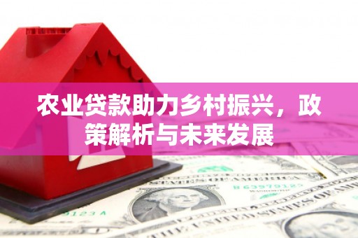 澎湖农业贷款助力乡村振兴，政策解析与未来发展
